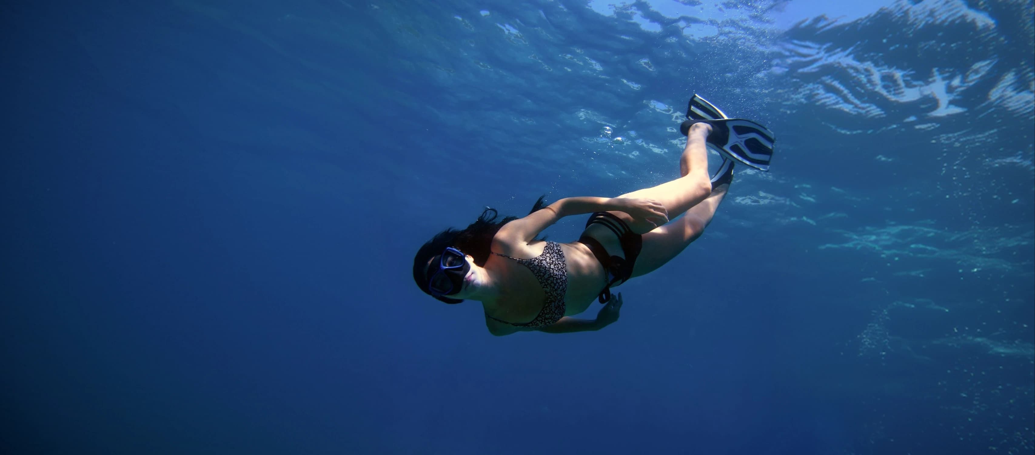 PADI Freediver Course Banner - Bermuda